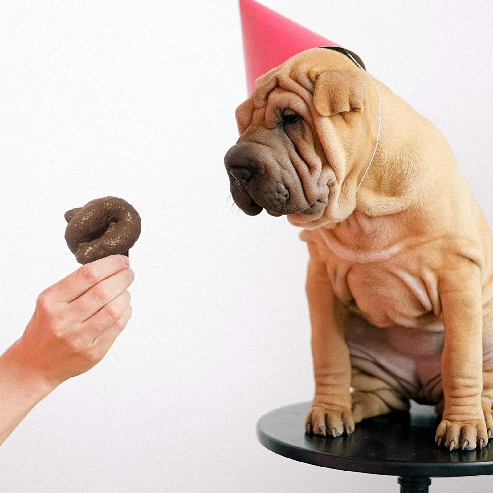 Caca réaliste en plastique, sû - Fake Poop Gag Gift avis et prix
