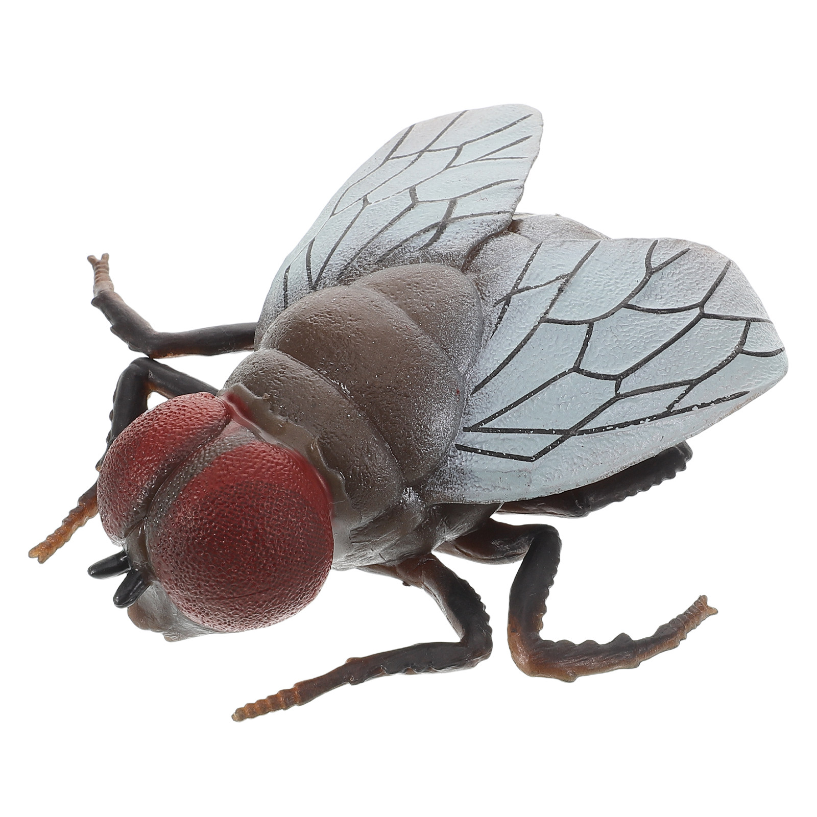 Jouet d'insecte mouché réalist - Prank Toys avis et prix